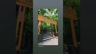 15 июня 2023 г.
