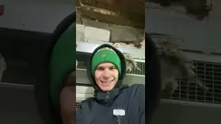 Весення суета на хоздворе 🏡