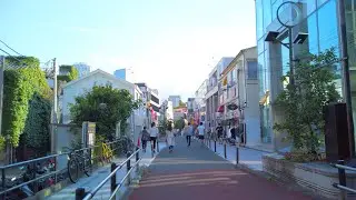 【4K】Walk Around Tokyo Omotesando in June 2020【Osmo Pocket】