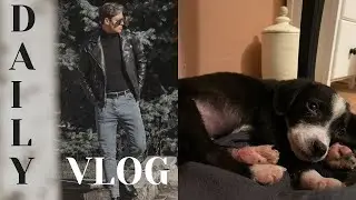 Daily vlog | Am adoptat un câine, PRIMA ZI LA SALĂ &  Foreo Luna 3 Man