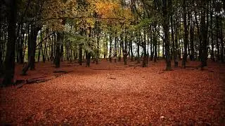 DG 307  - V tvojí kůži taky