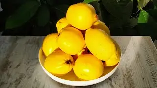Быстрое варенье из айвы
