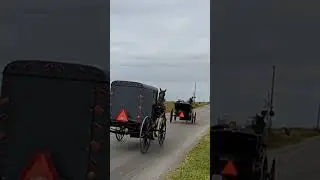 Clip Clop Clip Clop!