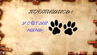 Трейлер для канала Усатый Нянь
