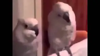 When you at a party and your song comes on...