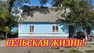 СЕЛО!Ураган.Ремонт печи в старом доме.Готовлю вкусный ужин!