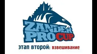 Zander Pro Cup - второй этап - взвешивание