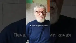 Уходят из города лоси...