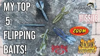 My Top 5 Favorite Flipping Baits!