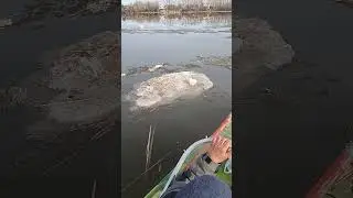 ПЕРВЫЙ ВЫХОД НА ВОДУ.  АПРЕЛЬ 2024. ПРОБИРАЯСЬ СКВОЗЬ ЛЕД.   #fishing #щука #carpfishing