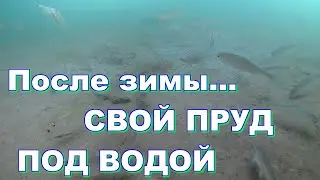 Под водой...свой пруд после зимы. Строим пруд в деревне часть 21.