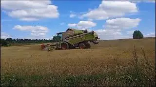 давно этого не видел.