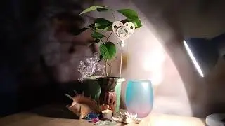 Г.Н.Сытин.Исцеляющий настрой 
