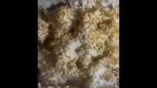 Active Termites | Termite Inspection and Treatment Canberra