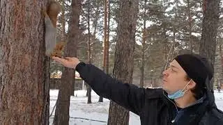 Угощаем белок фисташками