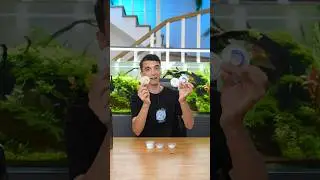 Water bottle that tricks your brain