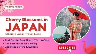 Cherry Blossoms in Japan ULTIMATE TRAVEL GUIDE | A Visual Journey | 2024
