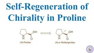 Self-Regeneration of Chirality in Proline