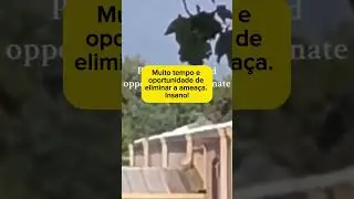Pessoas viram o atirador se preparando pra atirar em Trump. Elas avisaram a polícia e nada foi feito