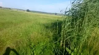 Влог мы Отдехаем
