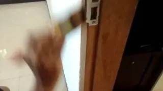 Cara oles  mengatasi Rayap Kayu, Exterminate termites part 2