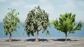 Australian Casuarina Tree 3D animation with unreal engine