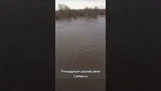 разлив реки Салмыш #рекомендации #shorts