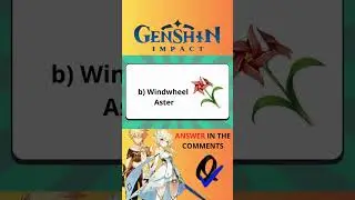 10 Questions Every Genshin Impact Fan Should Know! Video Game Quiz World