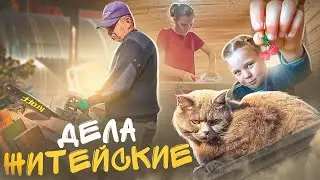 Опять тепло, дела житейские.