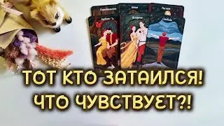 ТОТ КТО ЗАТАИЛСЯ❗️Что чувствует к тебе⁉️