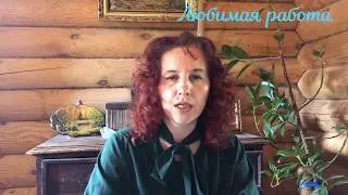 Новый отчет для бухгалтера. Портал "Работа в России".