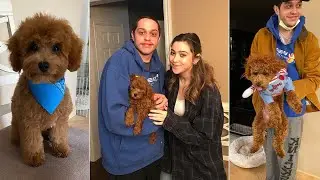 Pete Davidson shares heartbreaking family news that his beloved dog Henry passed away