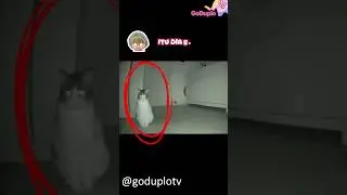 OMO Ada Makhluk Halus!!!!! 