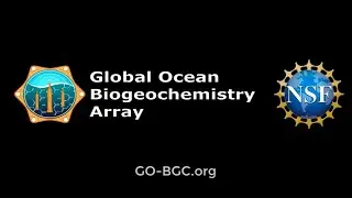 GO-BGC Data- Python Tutorial
