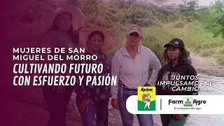 ✨✨Mujeres de San Miguel del Morro: Cultivando futuro con esfuerzo y pasión✨✨