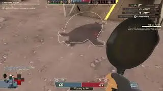 The TF2 Seal is missing