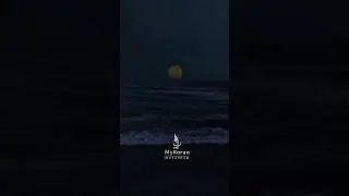 сура Ад-Духа