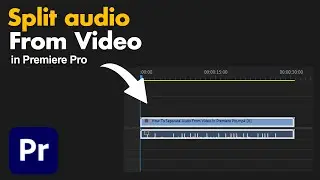How To Separate Audio From Video In Premiere Pro | premiere pro tutorial | home made adobe