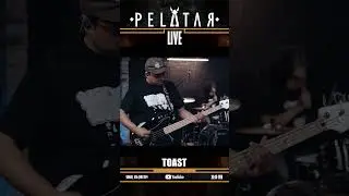[Teaser] Toast // PELATAR LIVE