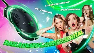 Razer DeathAdder Essential - ОБЗОР В 2023