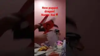 New puppet dragon alert!!🌹// Rei the fancy dragon