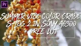 Color Grading on S-log 2 in Sony A6300 + Sigma 30mm F1.4 // FREE LUT!! | Jan Andres