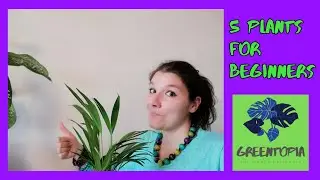🍀5 EASY plants for BEGINNERS 🤗🌱
