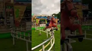 Amazing  horse ride 🤩#short #shorts #ytshorts #viralshorts #trending
