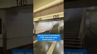 Elusive Track 15