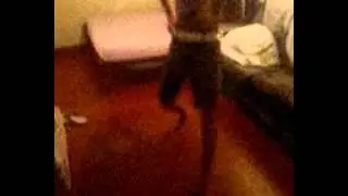 bonde da oakley sem limits 2012 A VOLTA VAY SER TRIZTE.wmv