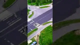 медведь в центре Петрозаводска