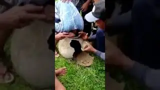 viral tiktok bisa masuk gak bisa keluar
