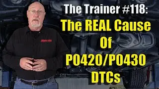 The Trainer 