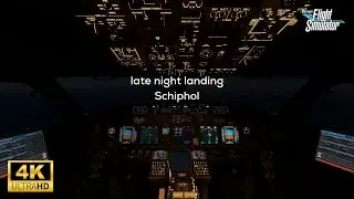 MSFS | Late night landing at busy Schiphol | PMDG 737
